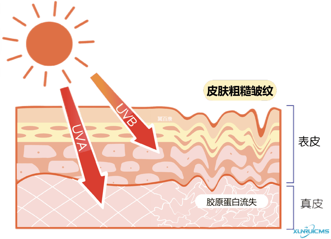 微信圖片_20241023134001 微信圖片_20241023134001