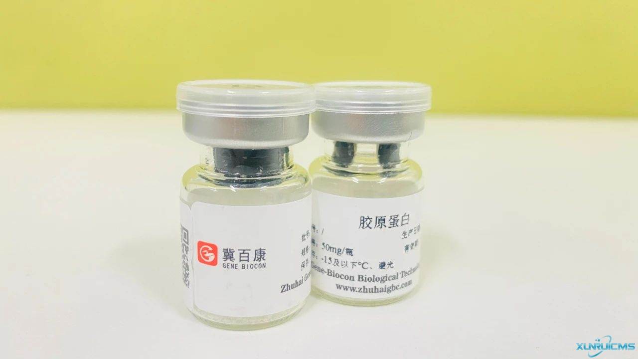 微信圖片_20241023160830 微信圖片_20241023160830